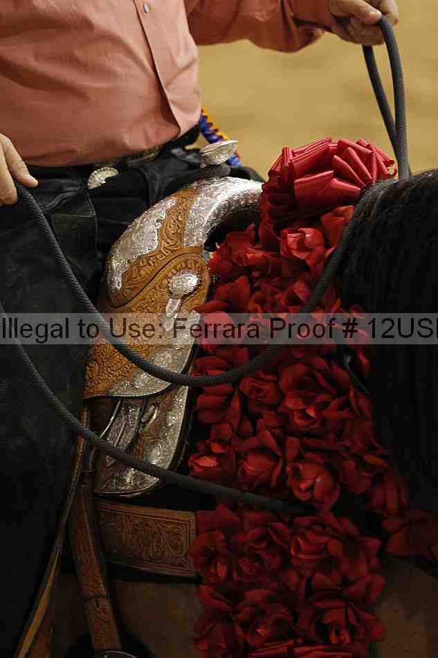 Proof 12usn_25273