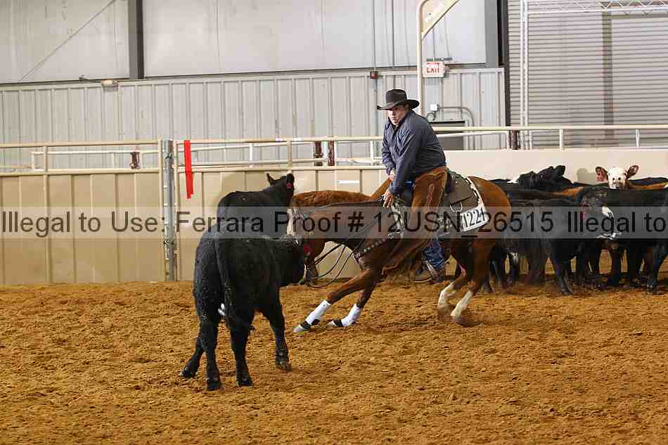 Proof 12usn_26515