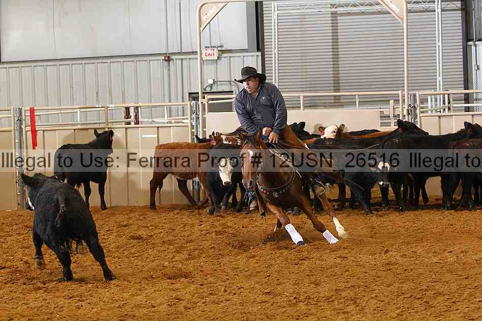 Proof 12usn_26516