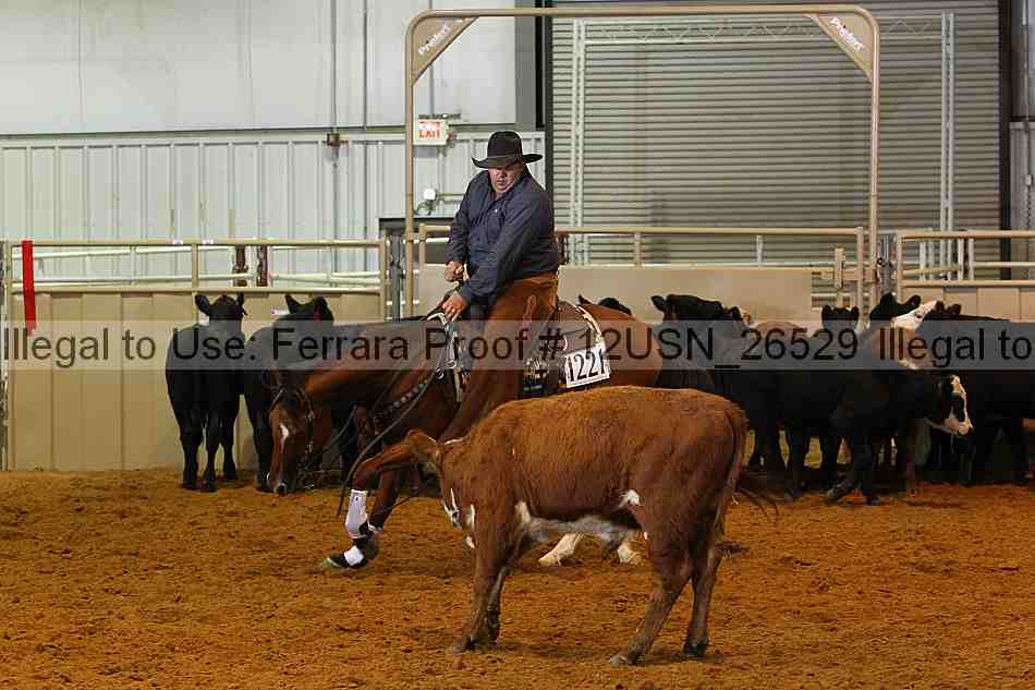 Proof 12usn_26529