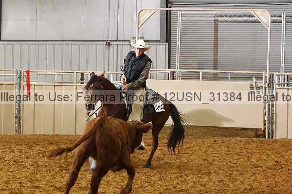 Proof 12usn_31384