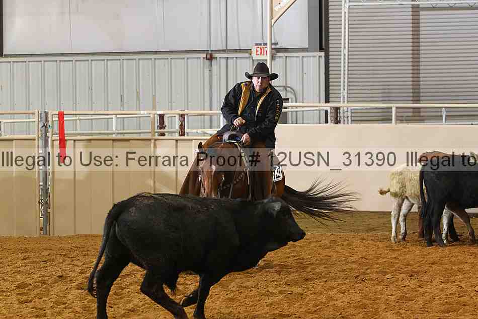 Proof 12usn_31390