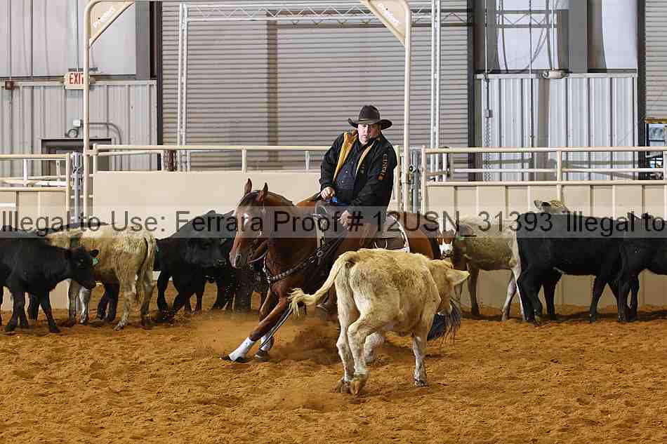 Proof 12usn_31393