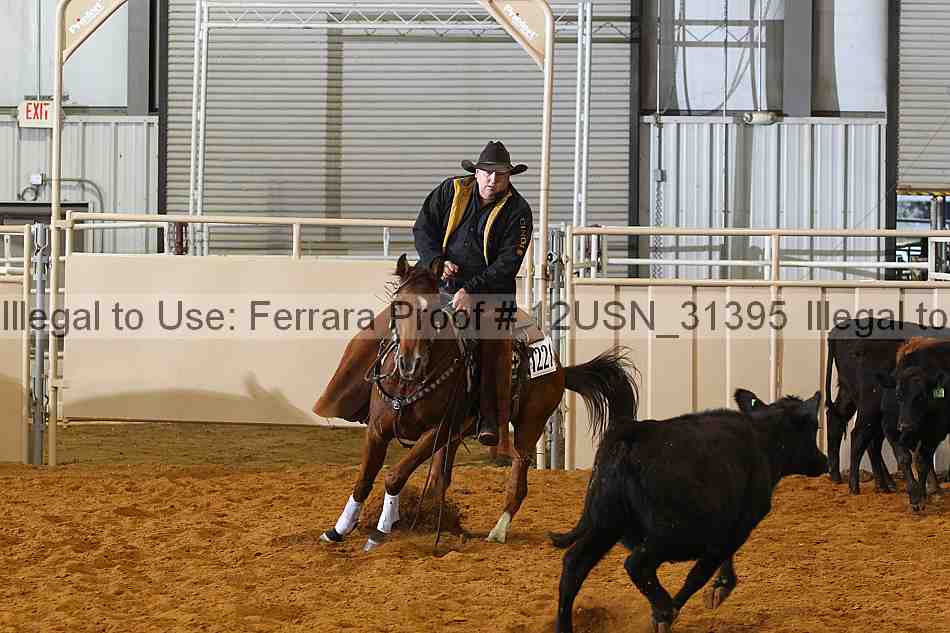Proof 12usn_31395