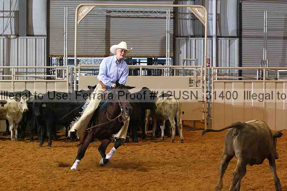 Proof 12usn_31400
