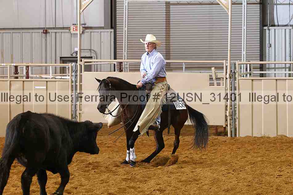 Proof 12usn_31401