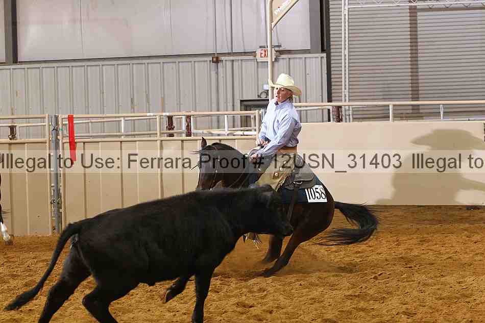 Proof 12usn_31403