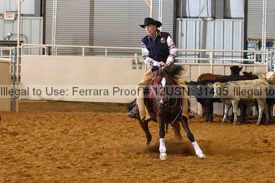 Proof 12usn_31405