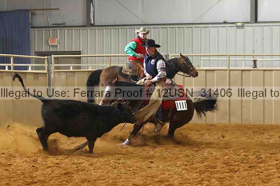 Proof 12usn_31406