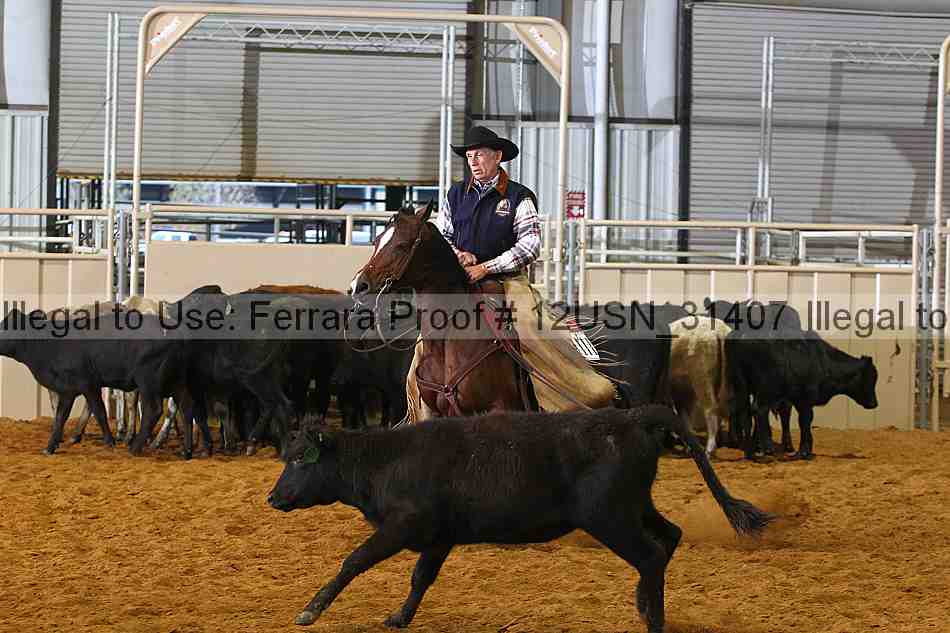 Proof 12usn_31407