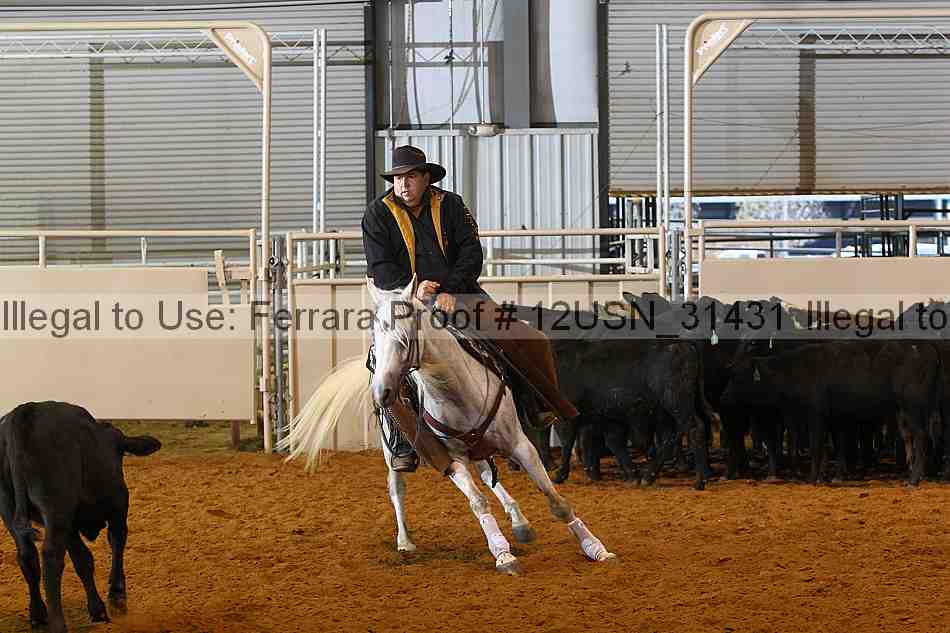 Proof 12usn_31431