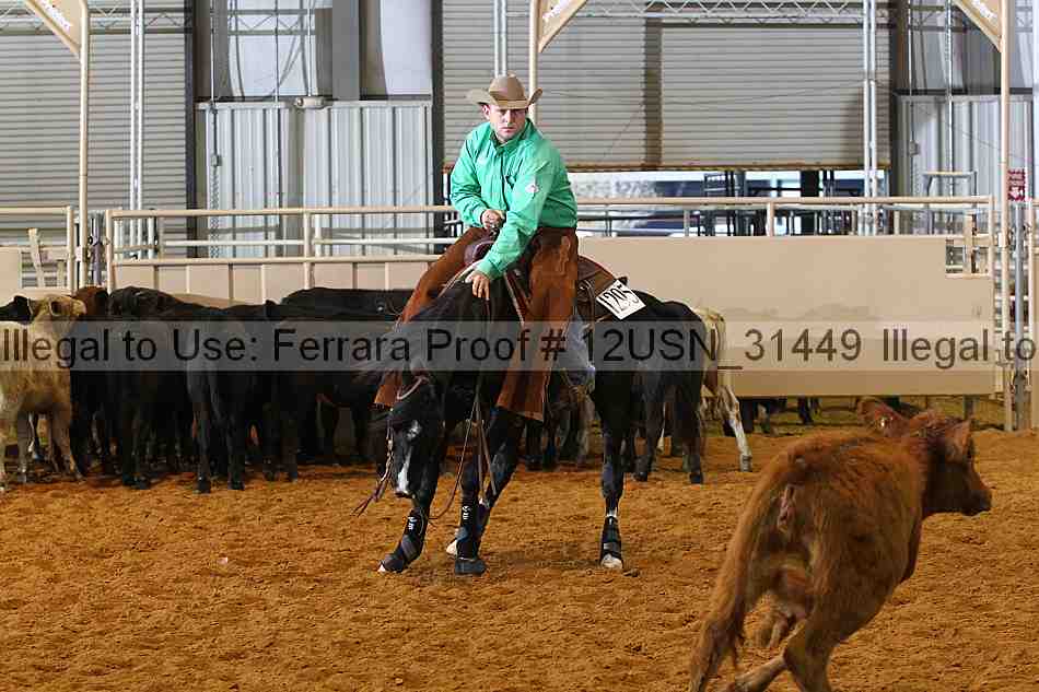 Proof 12usn_31449