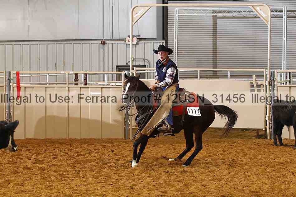 Proof 12usn_31456
