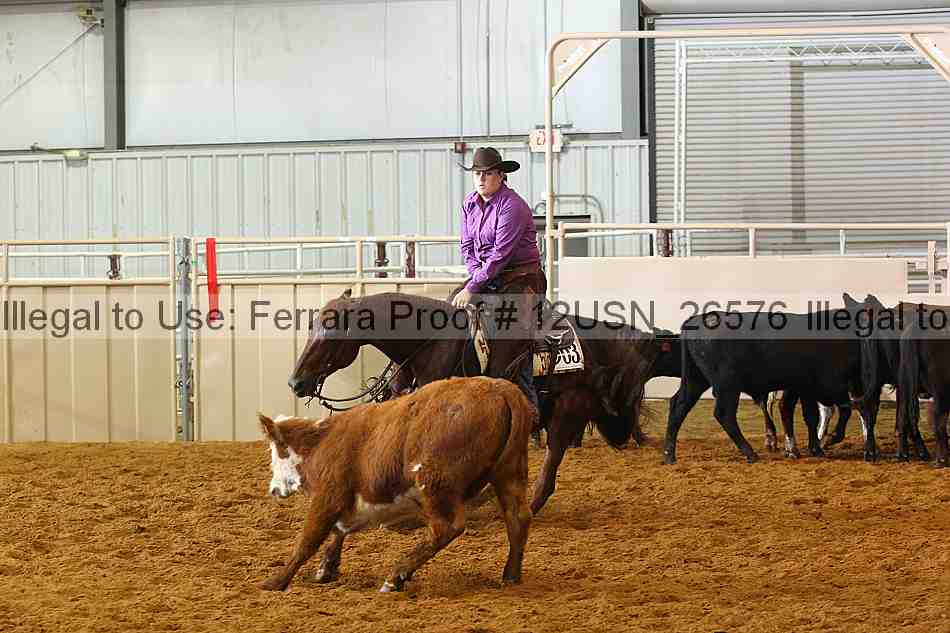 Proof 12usn_26576