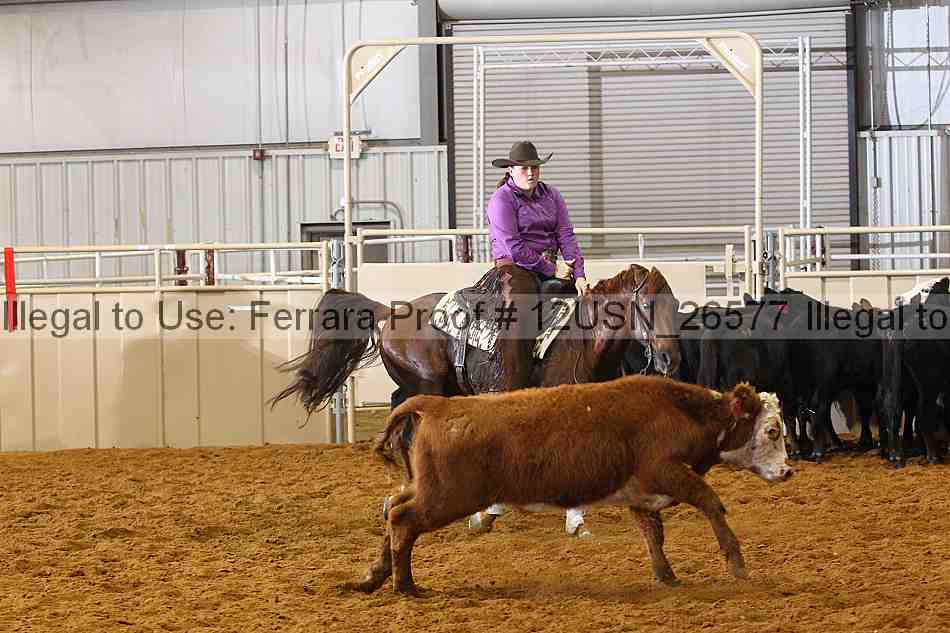 Proof 12usn_26577