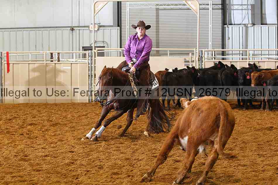 Proof 12usn_26579