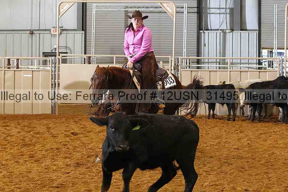 Proof 12usn_31495