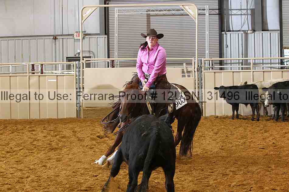 Proof 12usn_31496