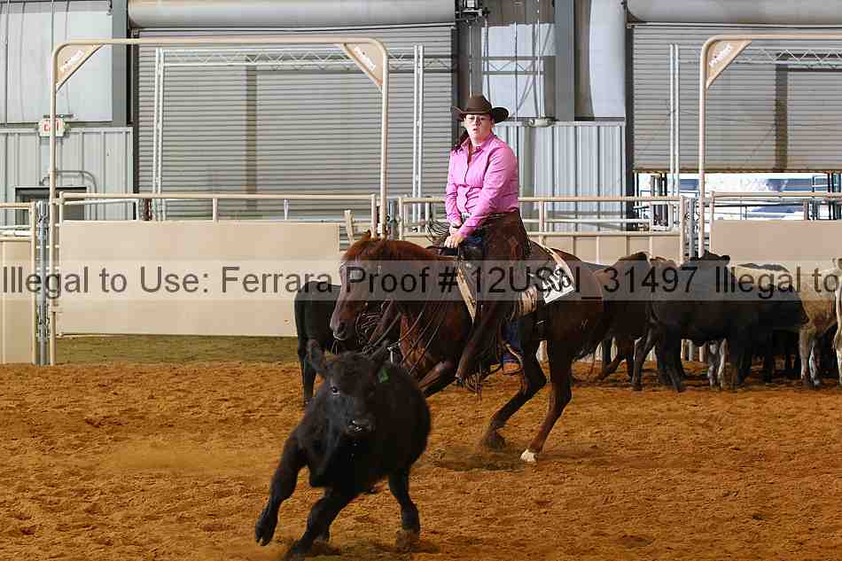 Proof 12usn_31497