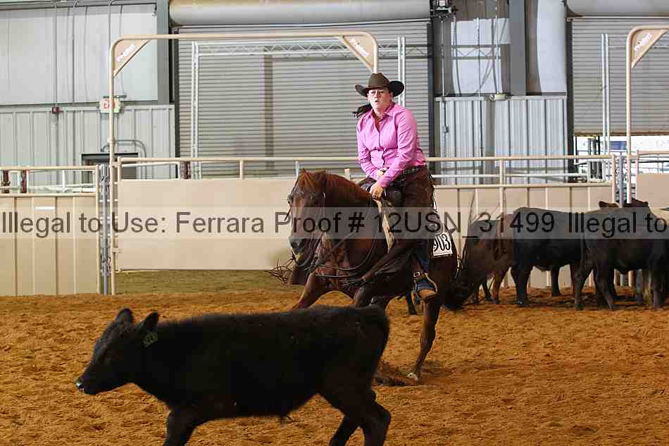Proof 12usn_31499