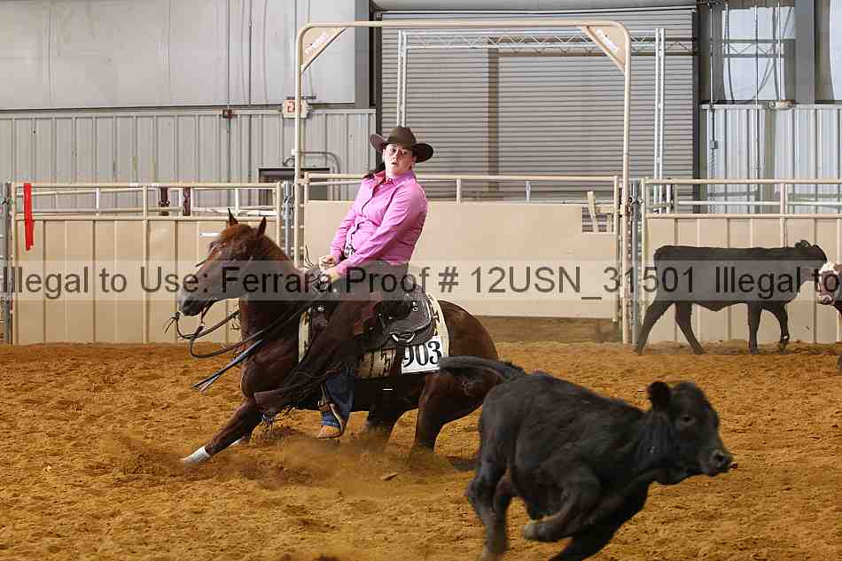 Proof 12usn_31501