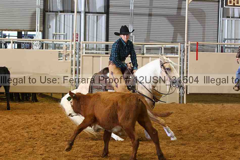 Proof 12usn_31504