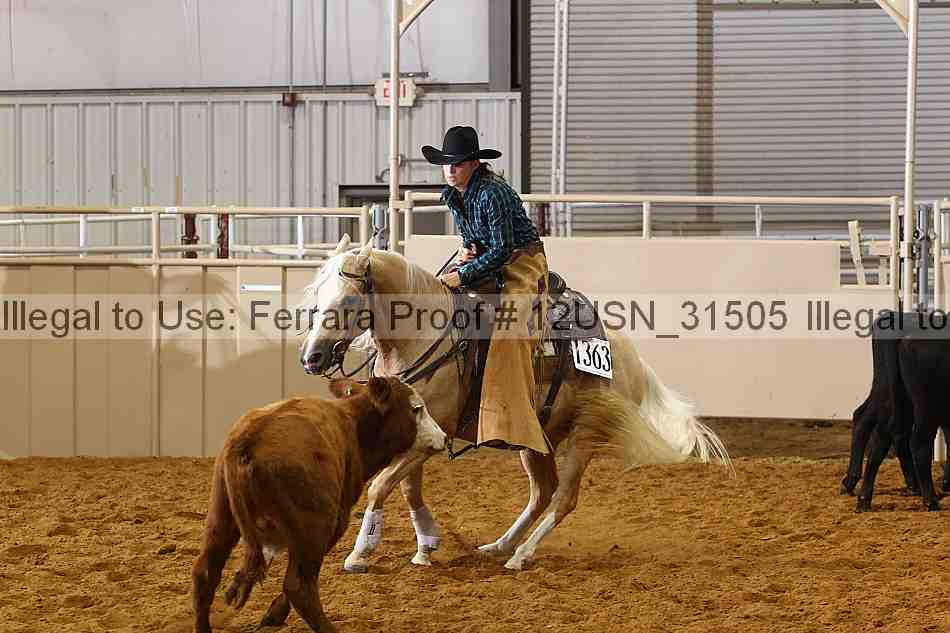 Proof 12usn_31505