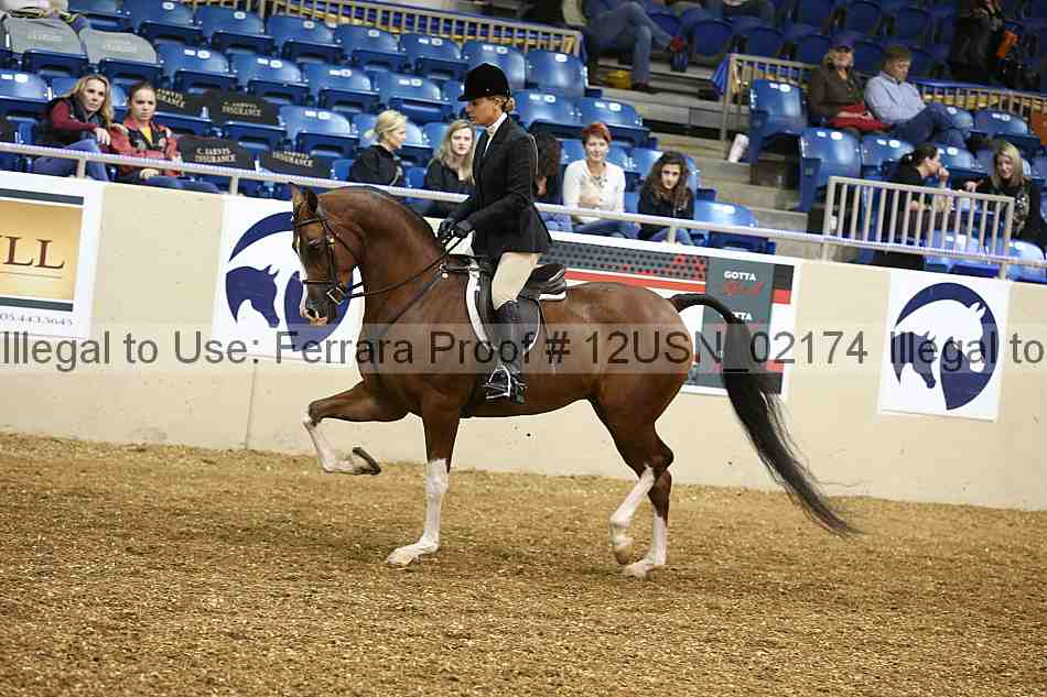 Proof 12usn_02174