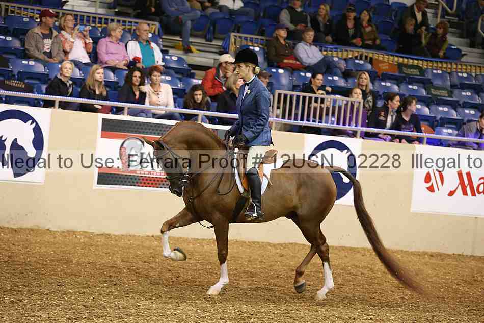 Proof 12usn_02228