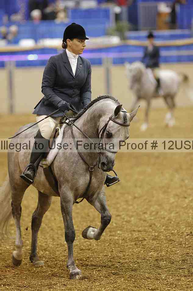 Proof 12usn_02229
