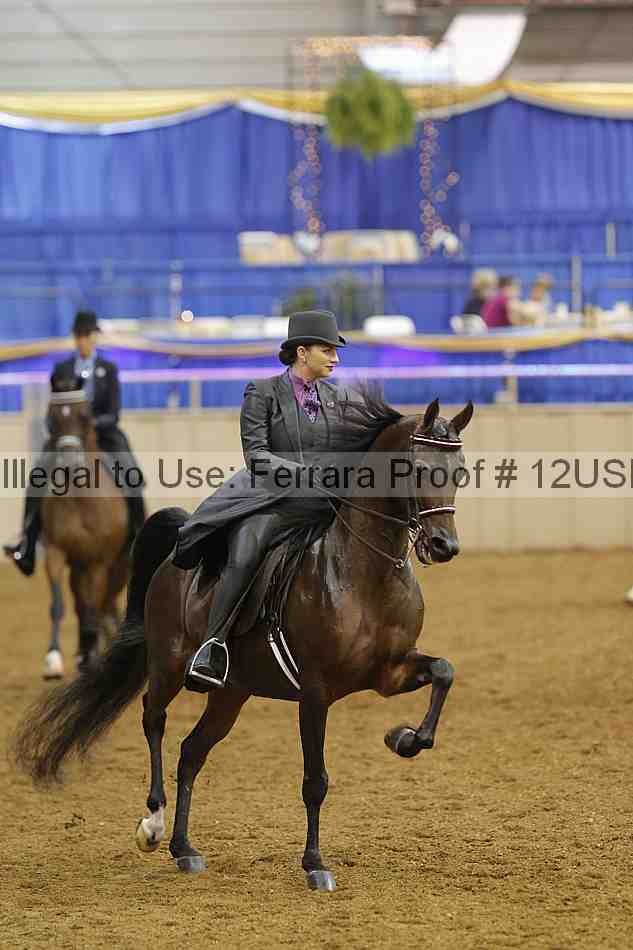 Proof 12usn_10796
