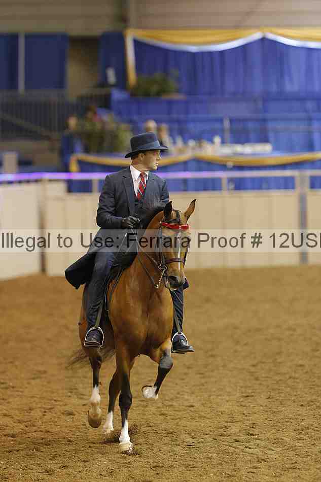 Proof 12usn_10802