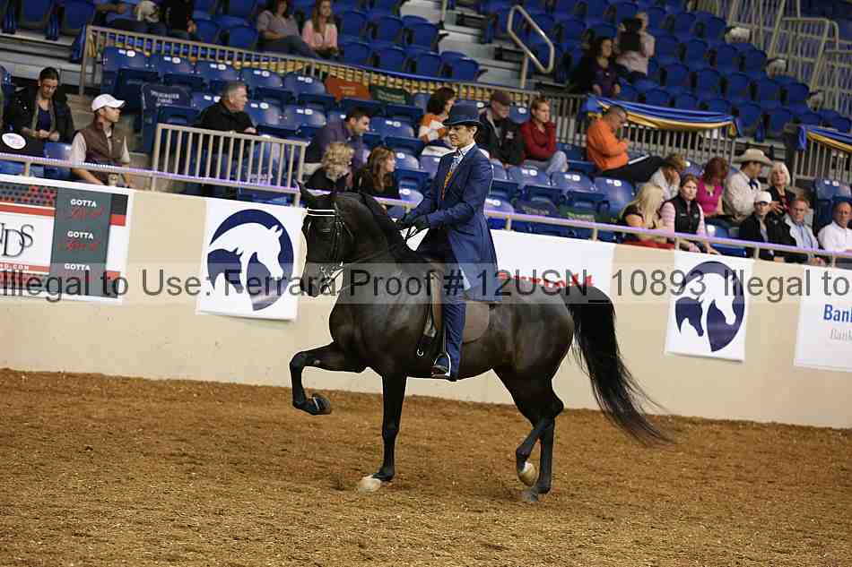 Proof 12usn_10893