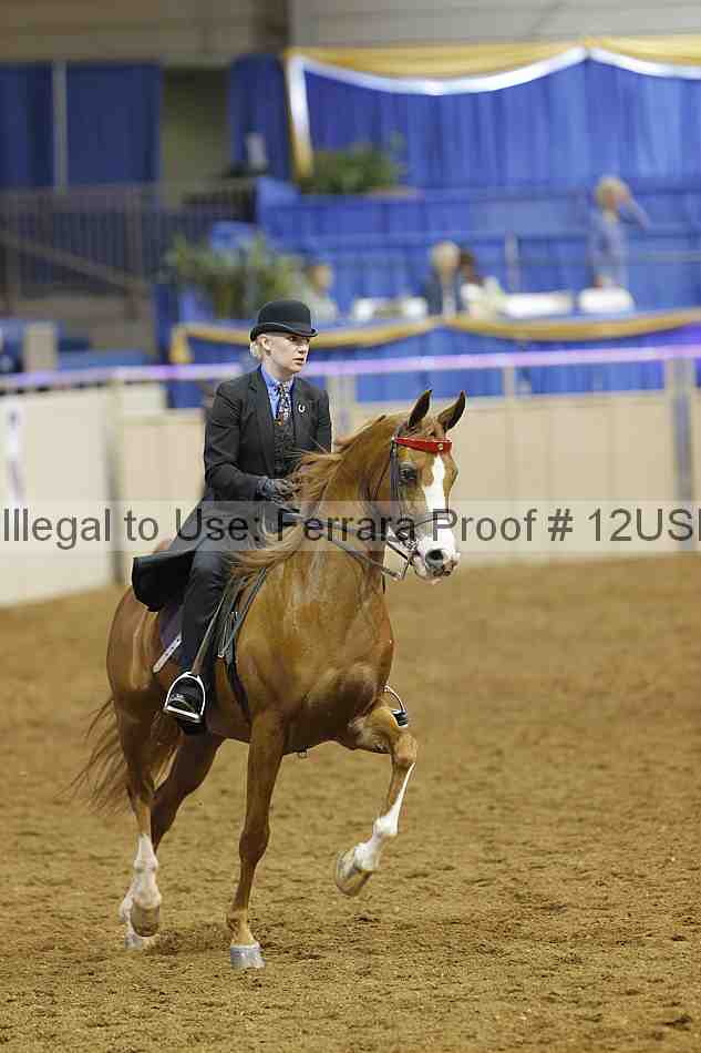 Proof 12usn_10894