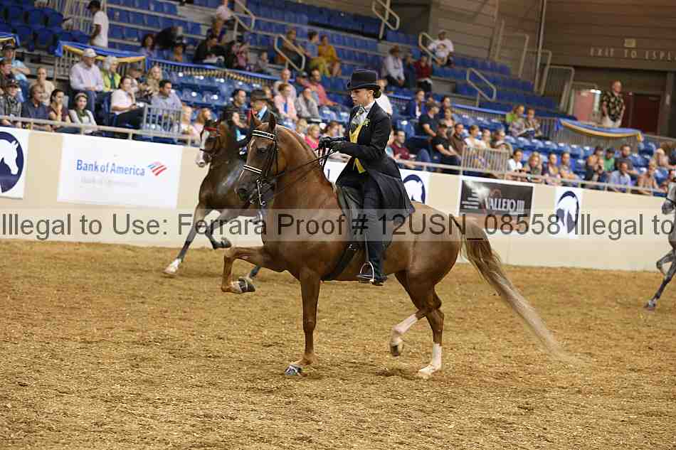 Proof 12usn_08558