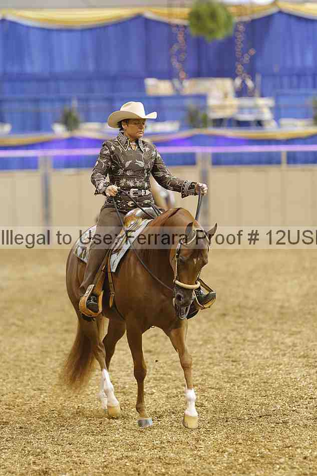 Proof 12usn_00504