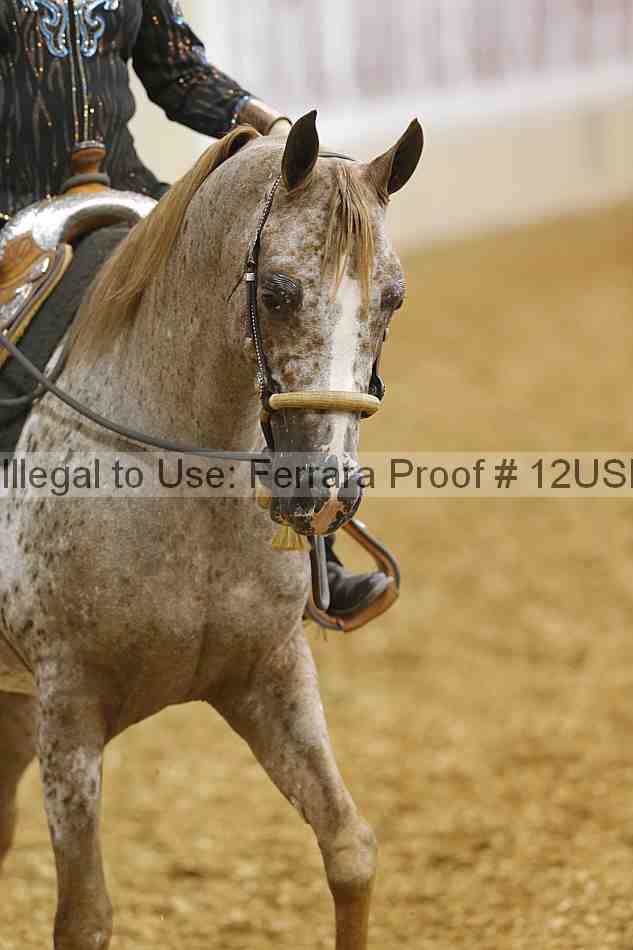 Proof 12usn_00529