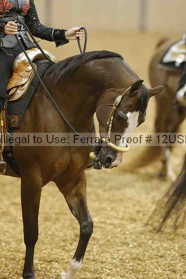 Proof 12usn_00533