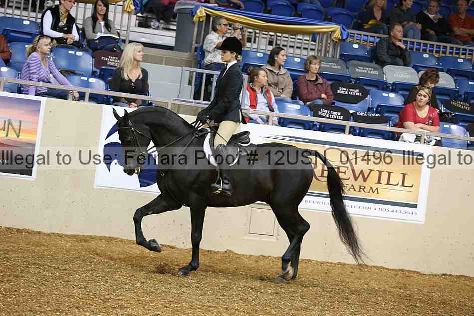 Proof 12usn_01496