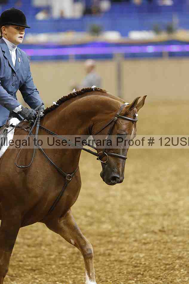 Proof 12usn_01503