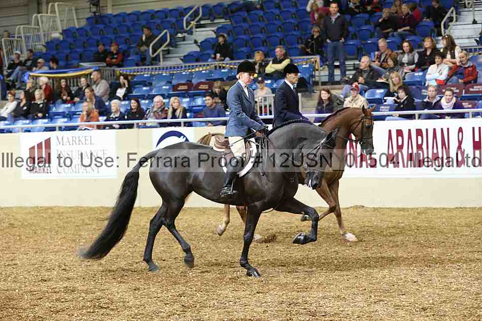 Proof 12usn_01504