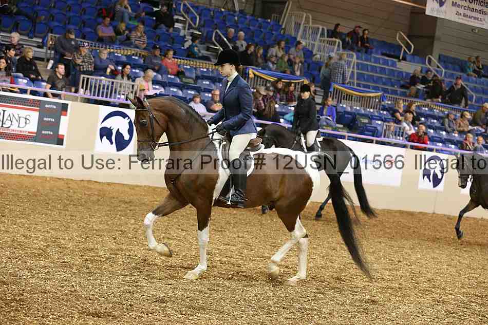 Proof 12usn_01566