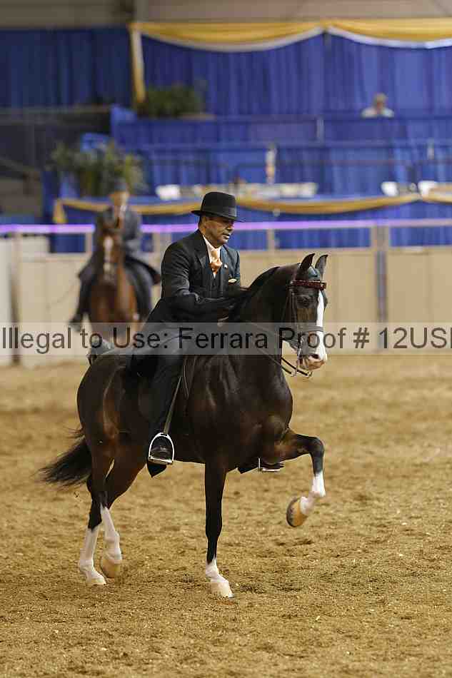 Proof 12usn_20857