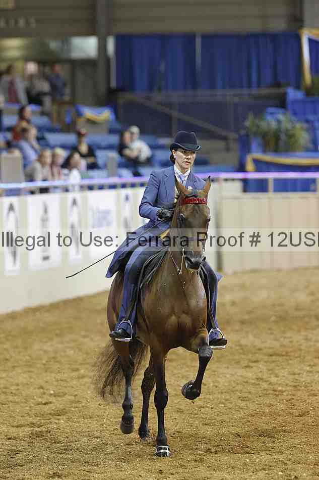 Proof 12usn_20862