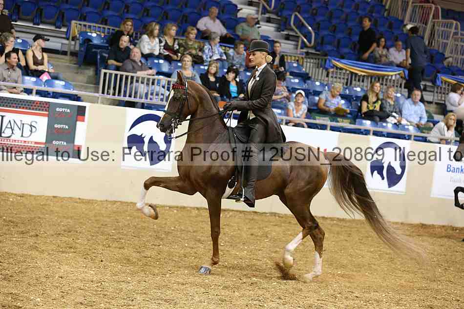 Proof 12usn_20869