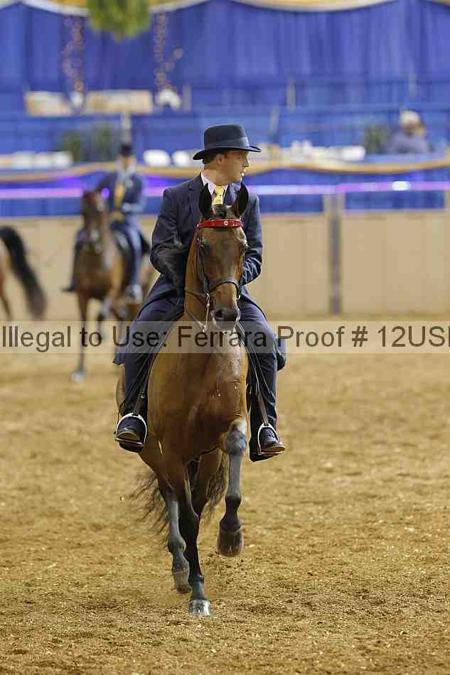 Proof 12usn_20876