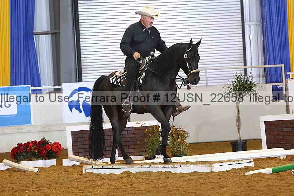 Proof 12usn_22658