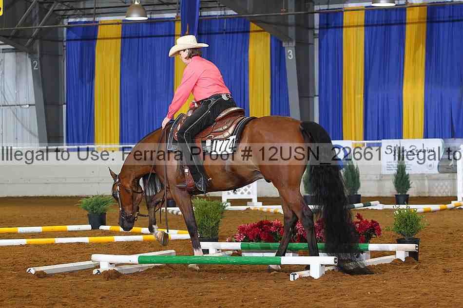 Proof 12usn_22661