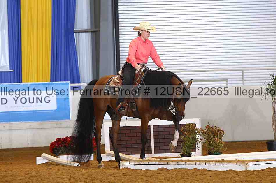 Proof 12usn_22665