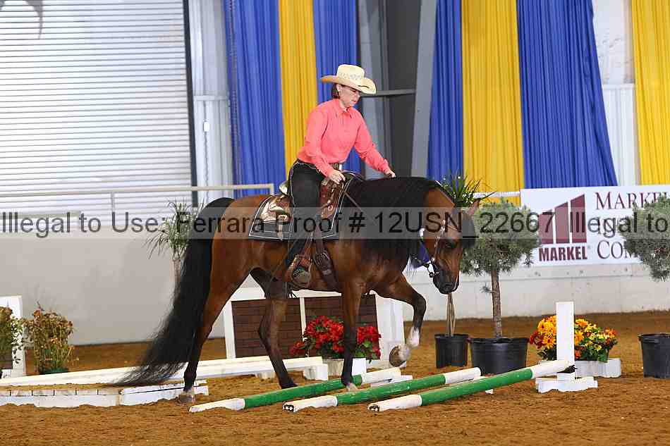 Proof 12usn_22667
